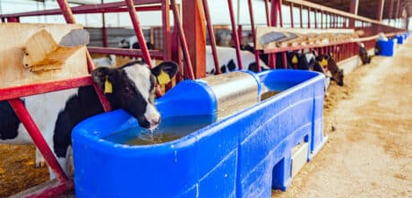 Cattle-feeding equipment Financing