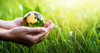 Environmental Insurance